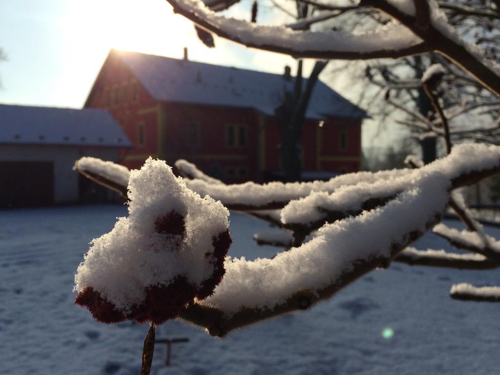 Penzion Zoja Rudník Exterior foto